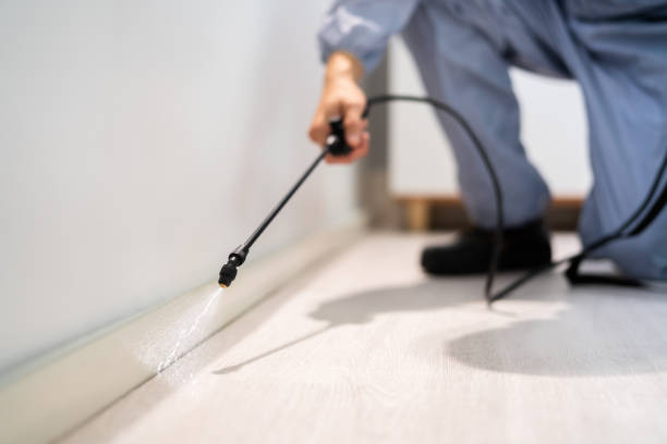 Licensed Pest Control service in Dickson, OK - Show Me Pest Control