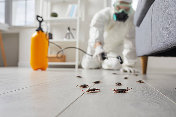 Post-Treatment Bed Bug Interceptor Monitoring in Dickson