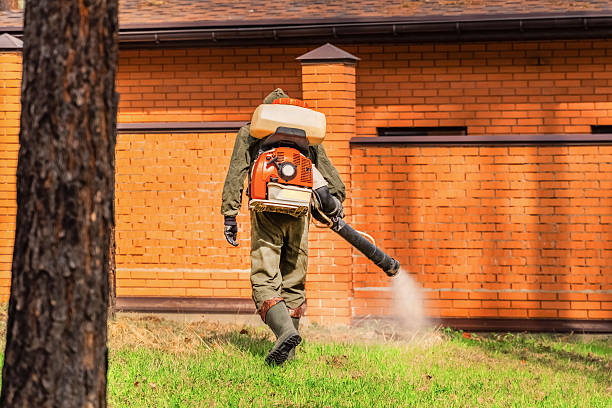 Bed Bug Clearance Verification and Documentation in Dickson